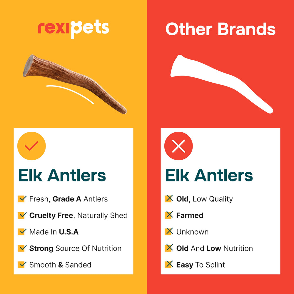 USA-sourced Rexipets elk antler suitable for dogs of all sizes