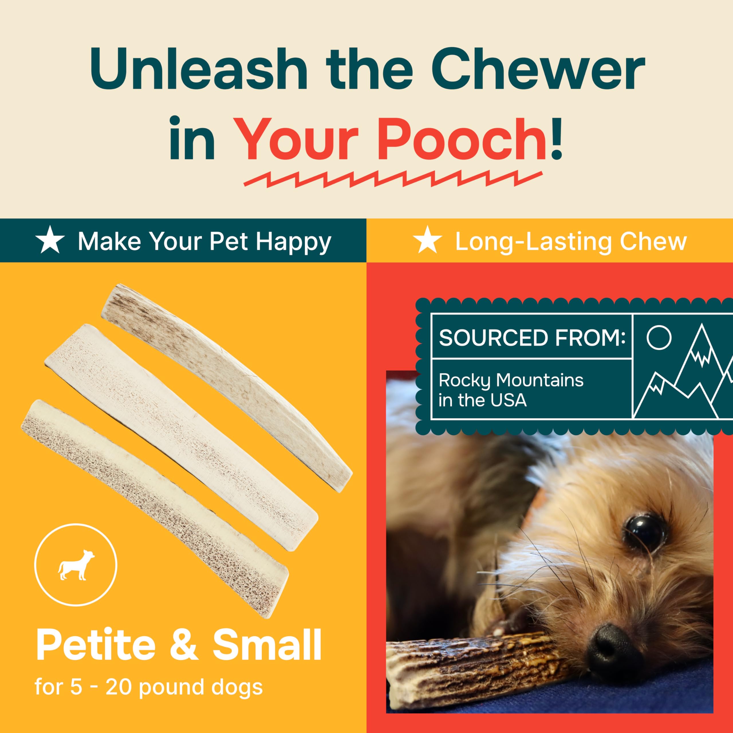 REXIPETS cruelty-free elk antlers naturally shed for ethical enrichment