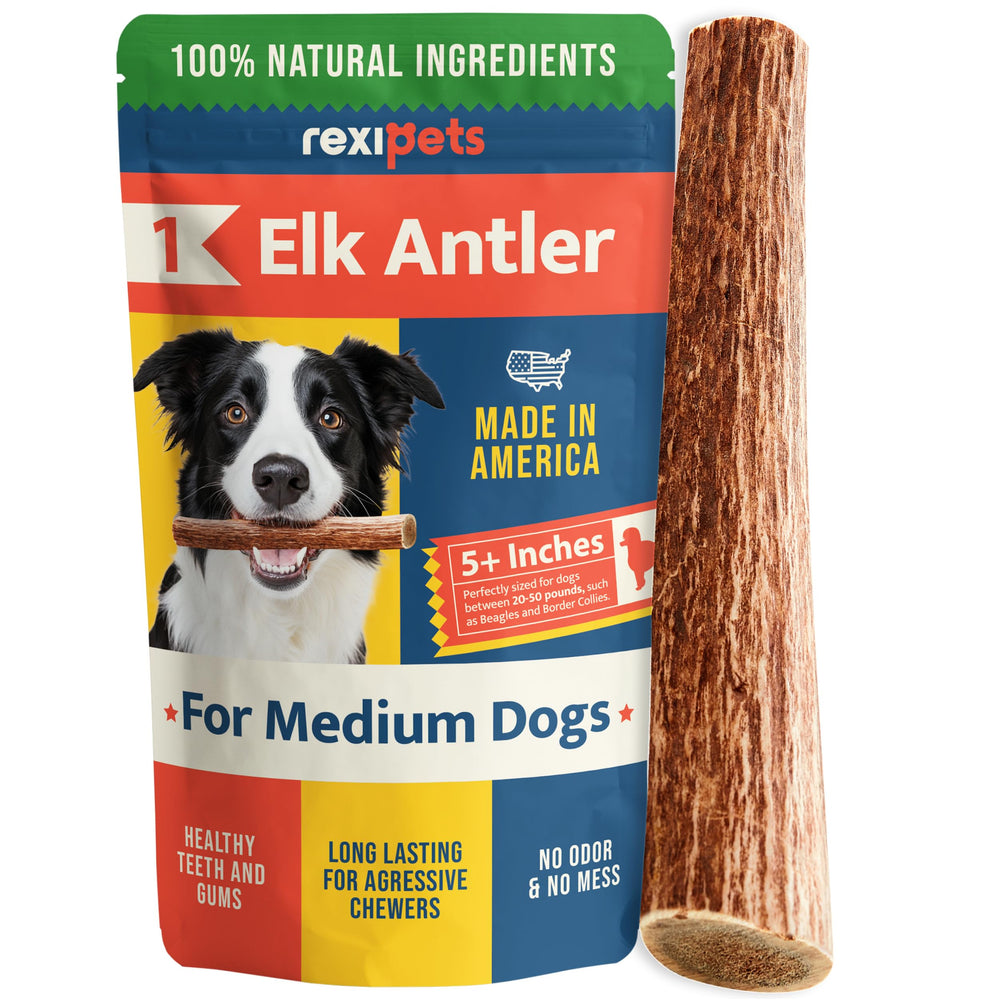 REXIPETS elk antlers for dogs, USA sourced, provide a durable chew for busy chewers.