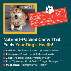 REXIPETS long-lasting elk antlers for dogs highlight a natural, safe chew option for aggressive chewers.