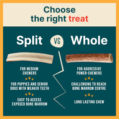 REXIPETS nutrient-rich elk antlers for dogs support minerals like calcium and potassium daily.