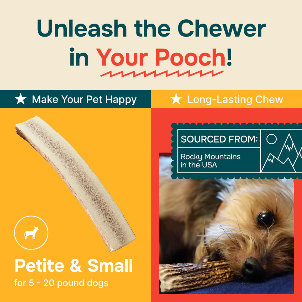 RexiPets USA-made elk antlers for dogs - high-quality chew.