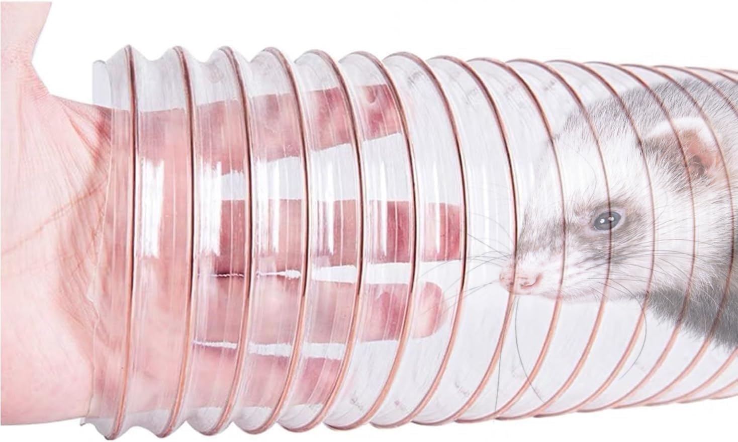Rgbpro Flexible tunnel design showcases adaptable play spaces for small pets.