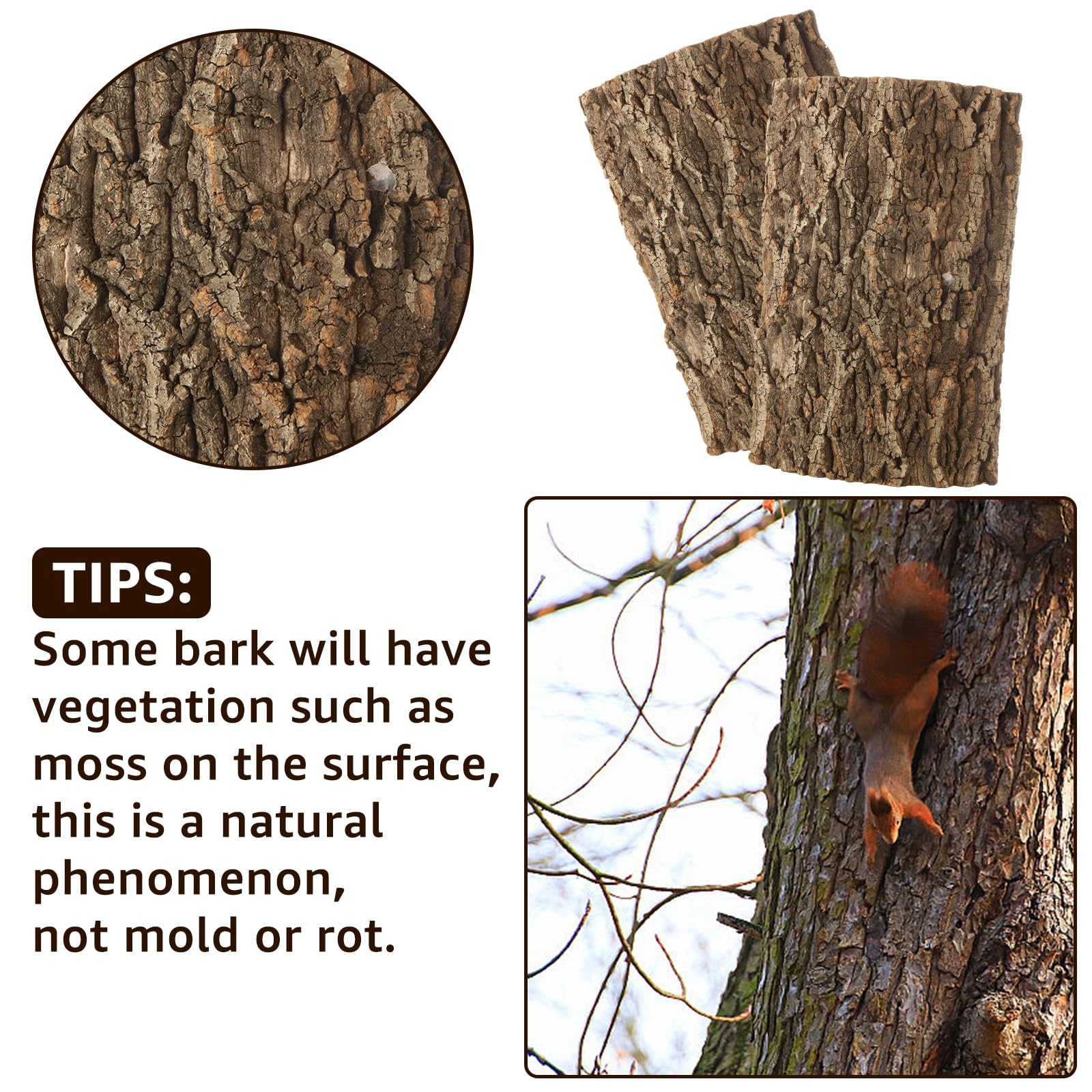 RHBLME cork bark easy cleaning, maintain terrarium hygiene with gentle rinse