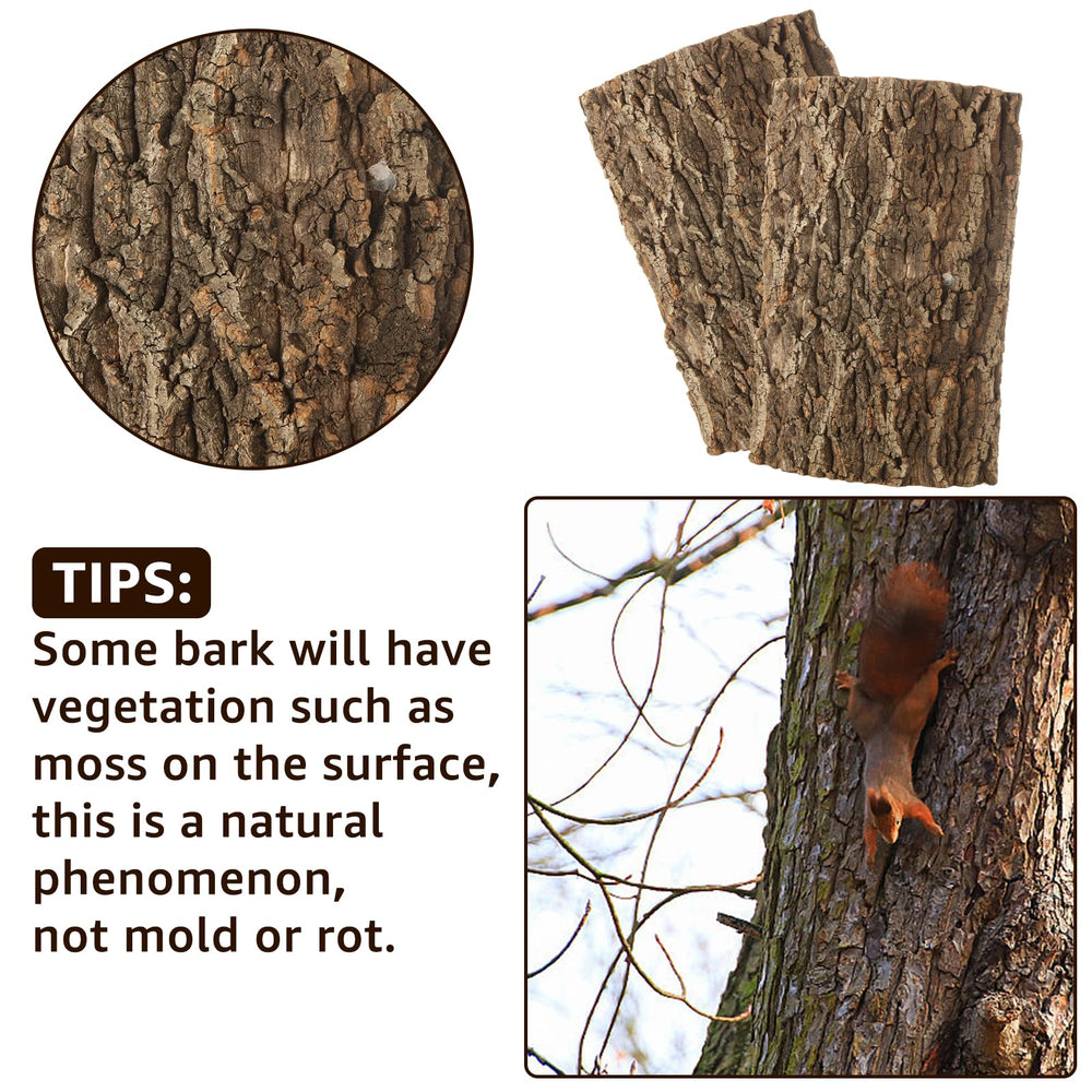RHBLME cork bark easy cleaning, maintain terrarium hygiene with gentle rinse