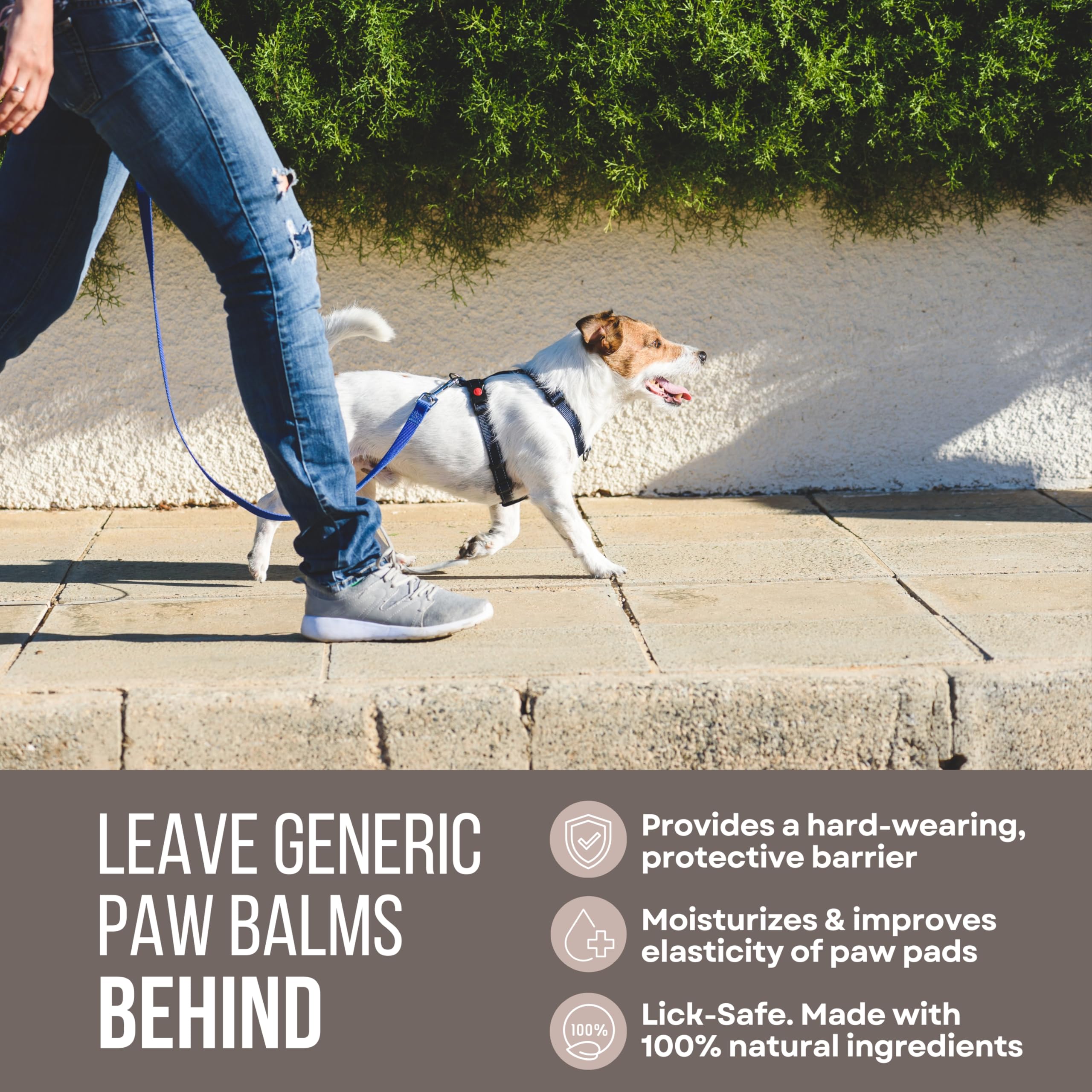 Rhino Wax Street Balm is easy to apply to dog paws before a walk.
