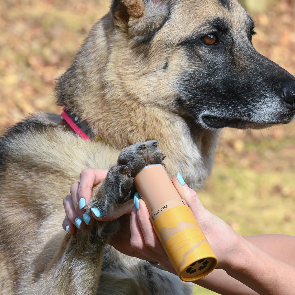 Rhino Wax lick-safe paw balm ensures safe licking during outdoor use.