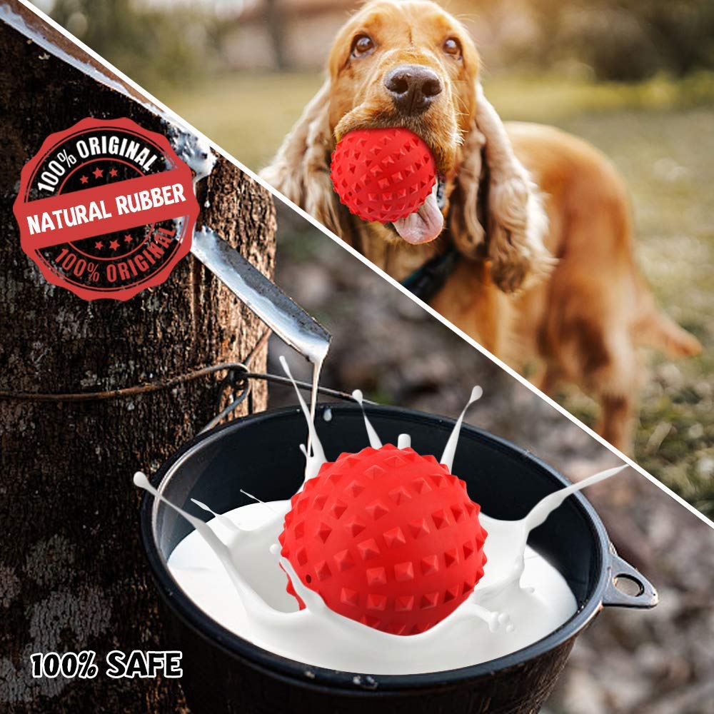 RHL chew toy with squeaker provides interactive stimulation for dogs
