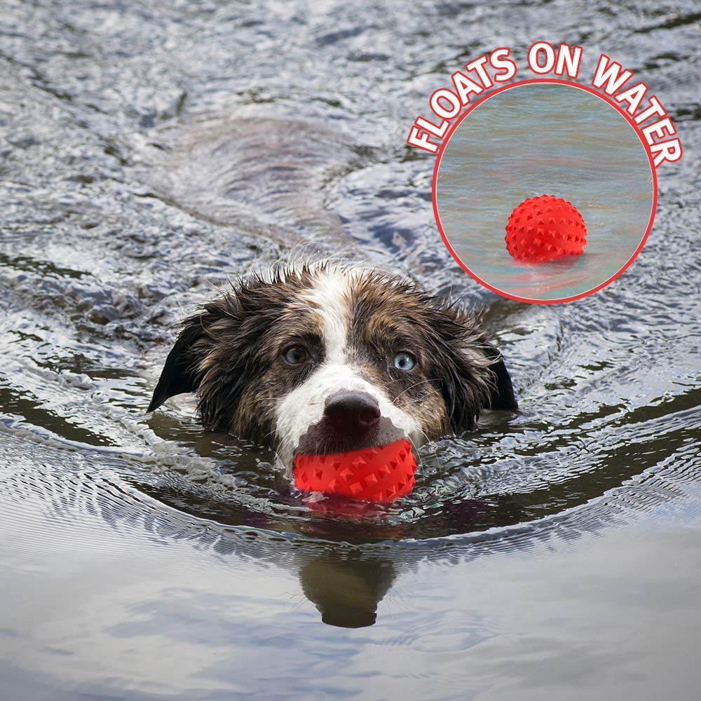 RHL durable ball toy designed for long-lasting sessions with tough chewers