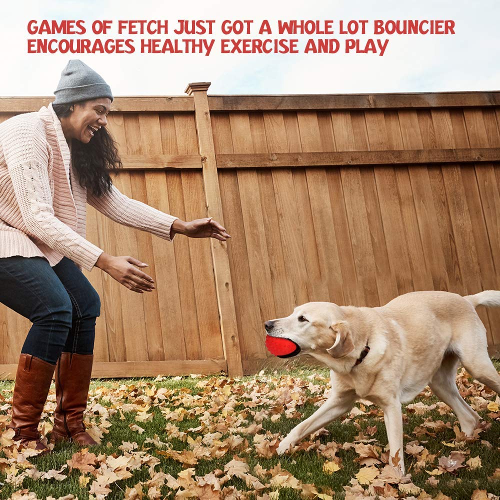 RHL natural rubber beef-flavor toy enhances chewing satisfaction for large breeds