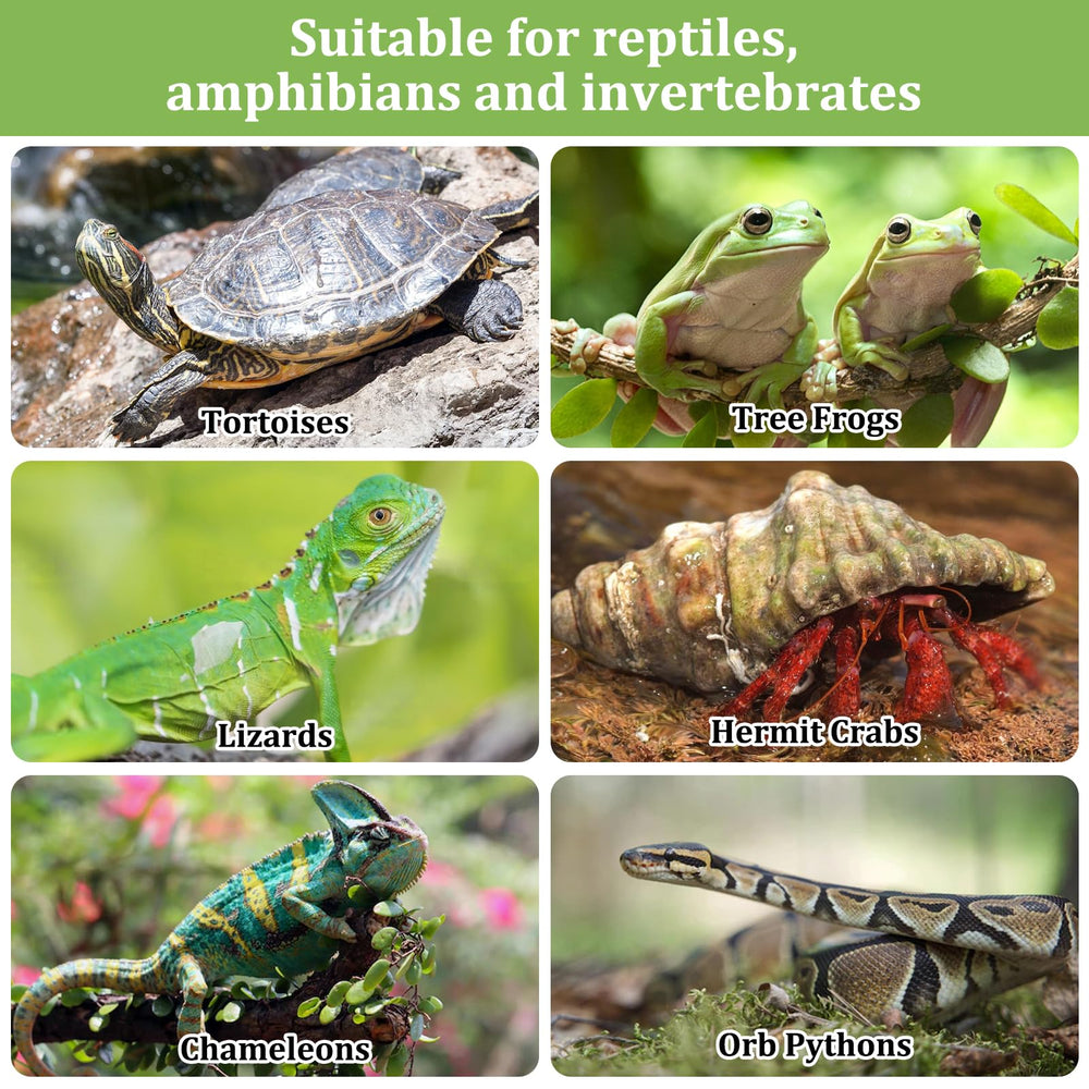 Riare substrate suitable for reptiles, amphibians, and invertebrates
