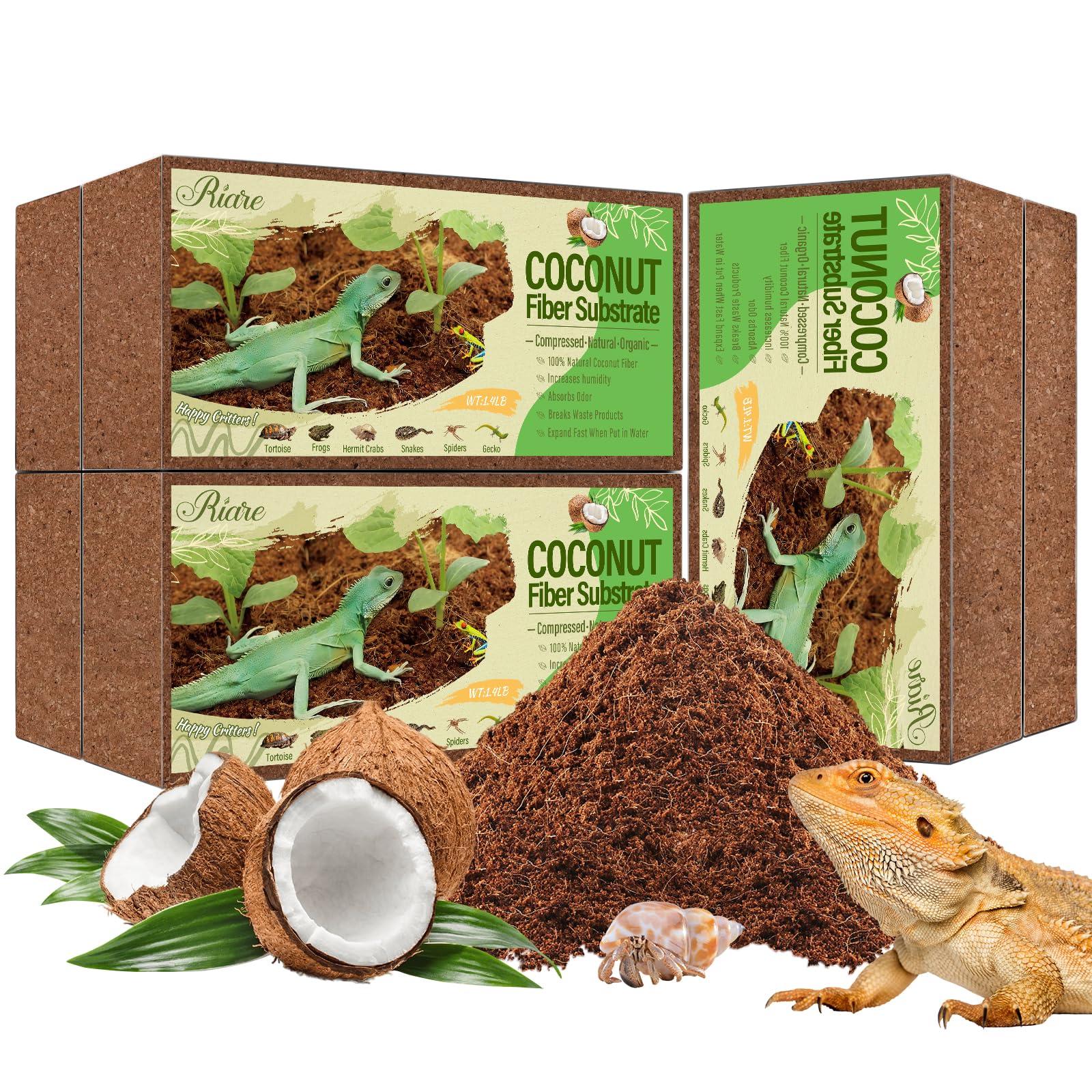 Riare 6-pack coconut fiber bricks ready for terrarium setup
