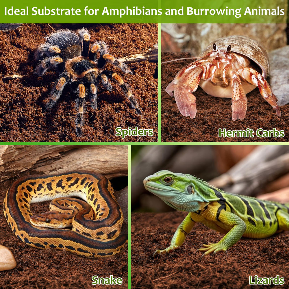 Riare substrate is biodegradable and compostable for eco-friendly disposal.