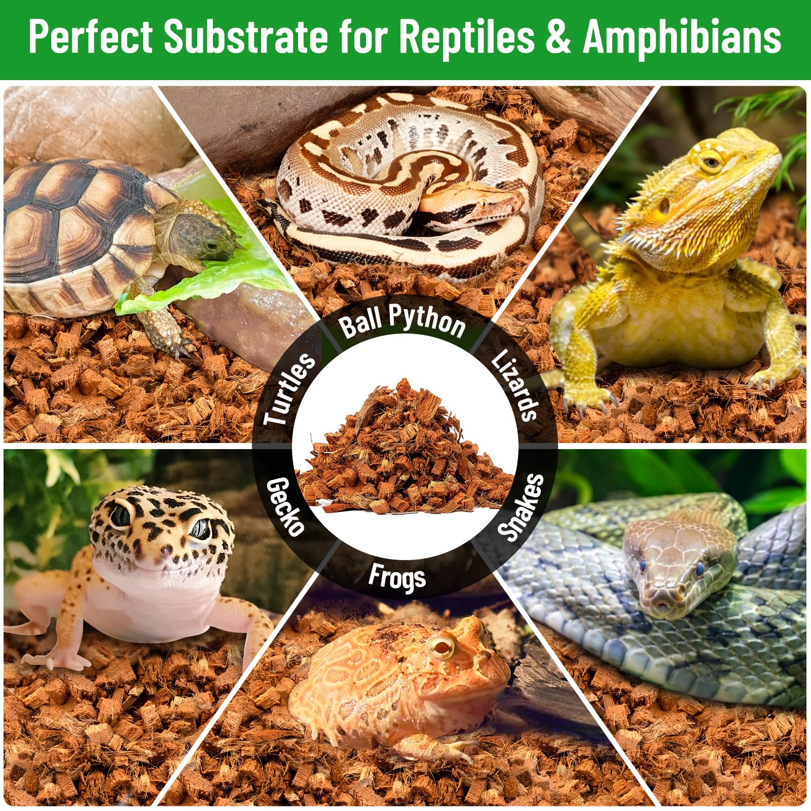 Riare coconut chip bedding suitable for various reptiles