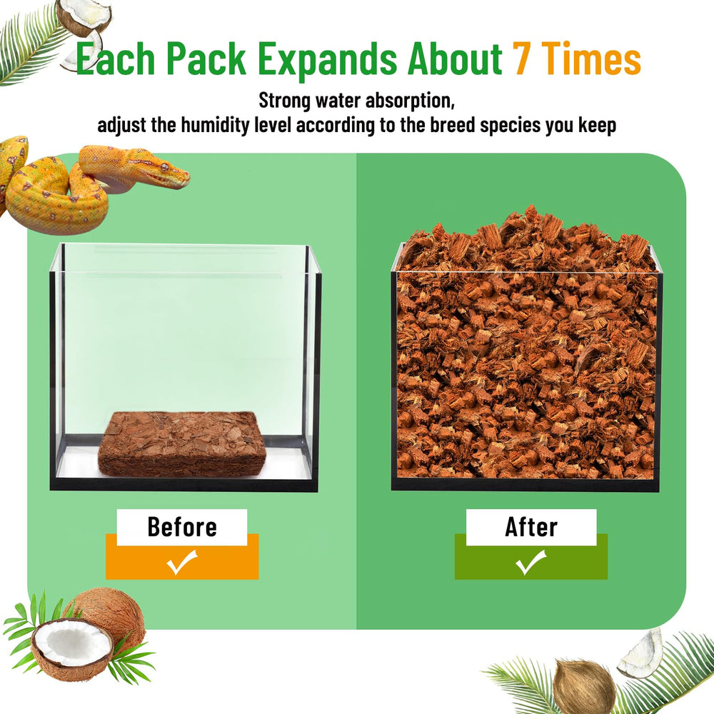 Riare humidity control substrate maintains terrarium moisture