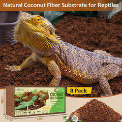 Riare coconut fiber bricks soaking to create moisture-rich terrarium substrate.