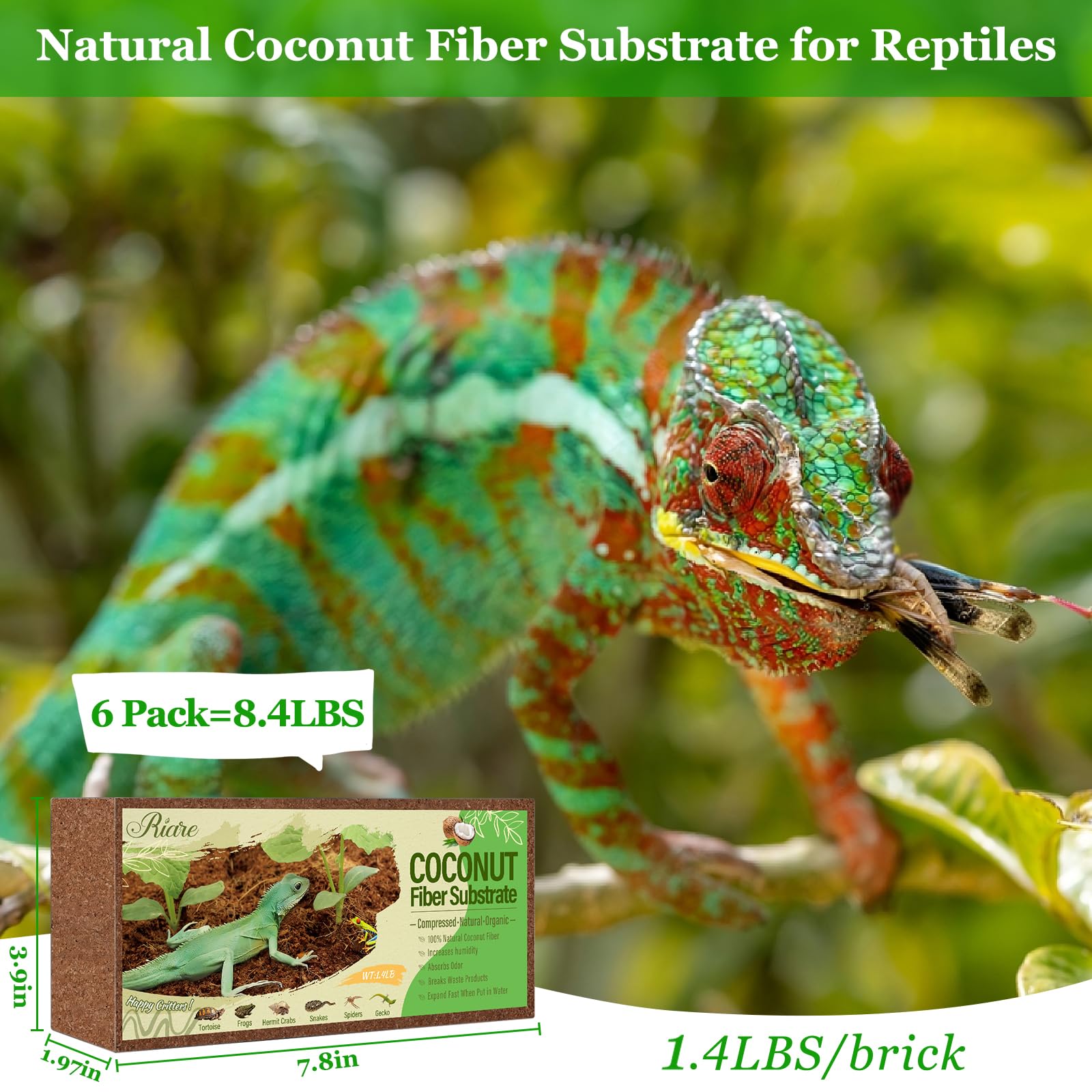 Riare coconut fiber bricks expand when soaked
