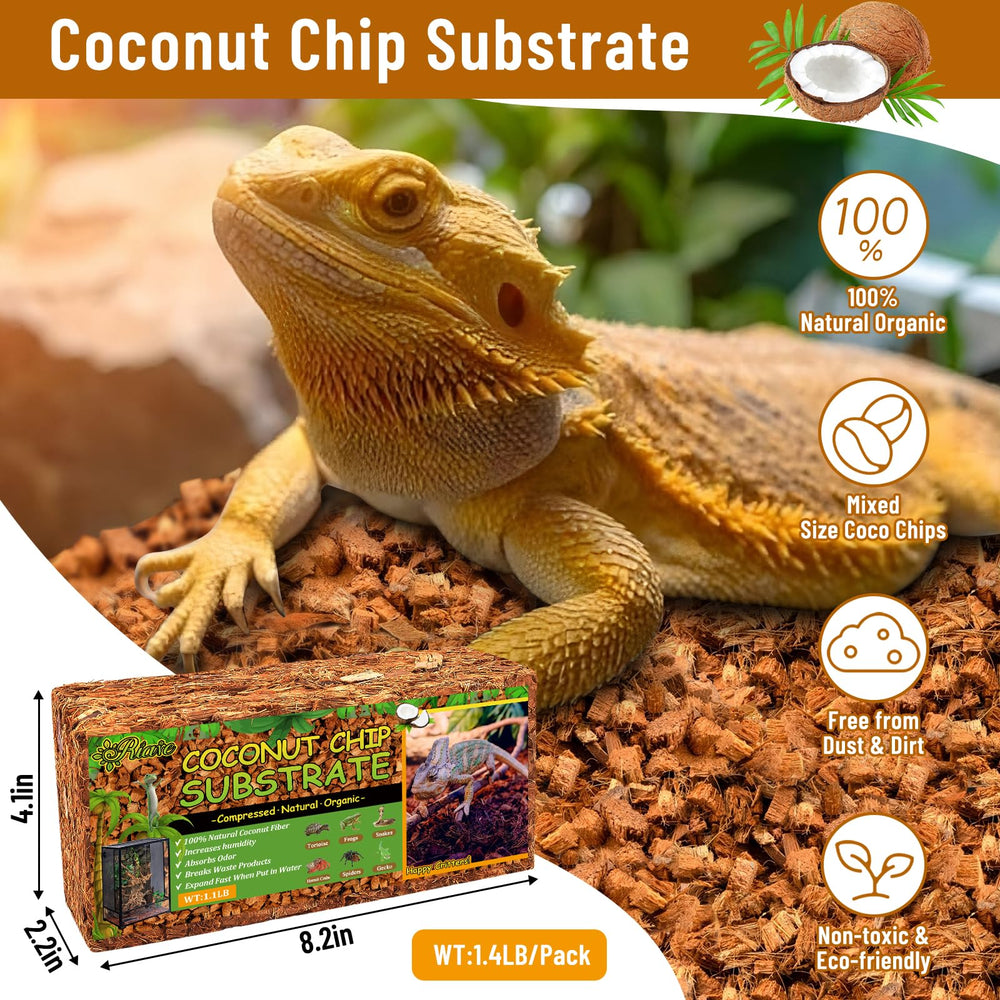 Riare coconut husk chips expanded for quick terrarium setup