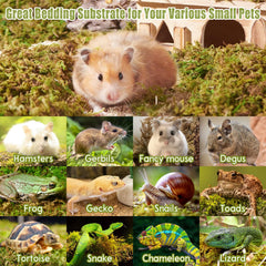 Riare dried forest moss for small pets supports natural digging and hiding behaviors.