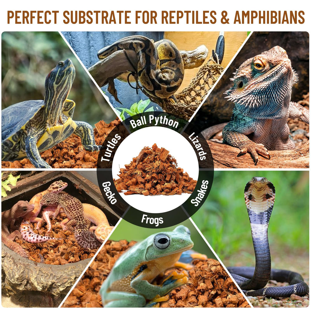 Riare easy-cleanup substrate simplified disposal and garden compost options