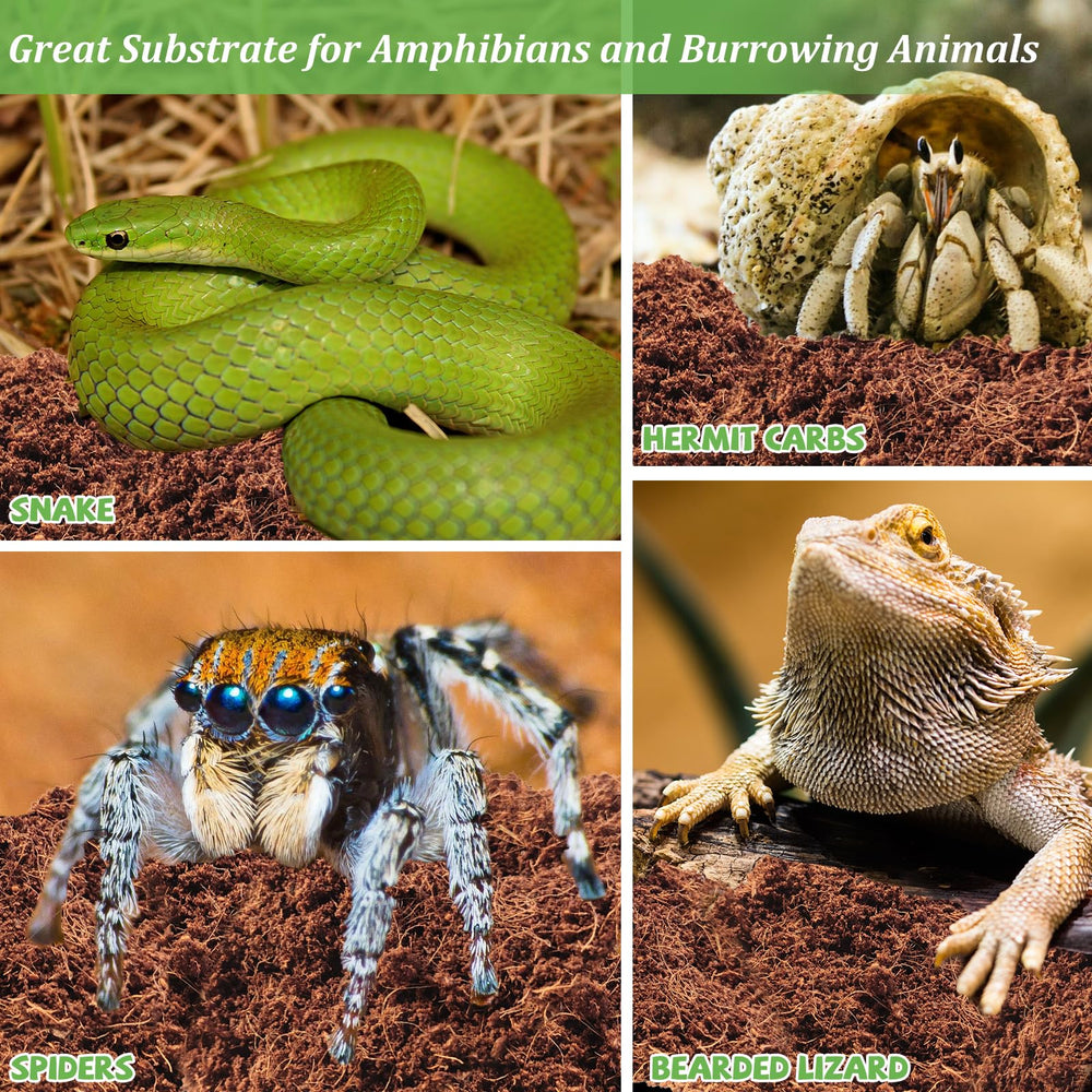 Riare easy soak and expand substrate creates ready-to-use terrarium bedding