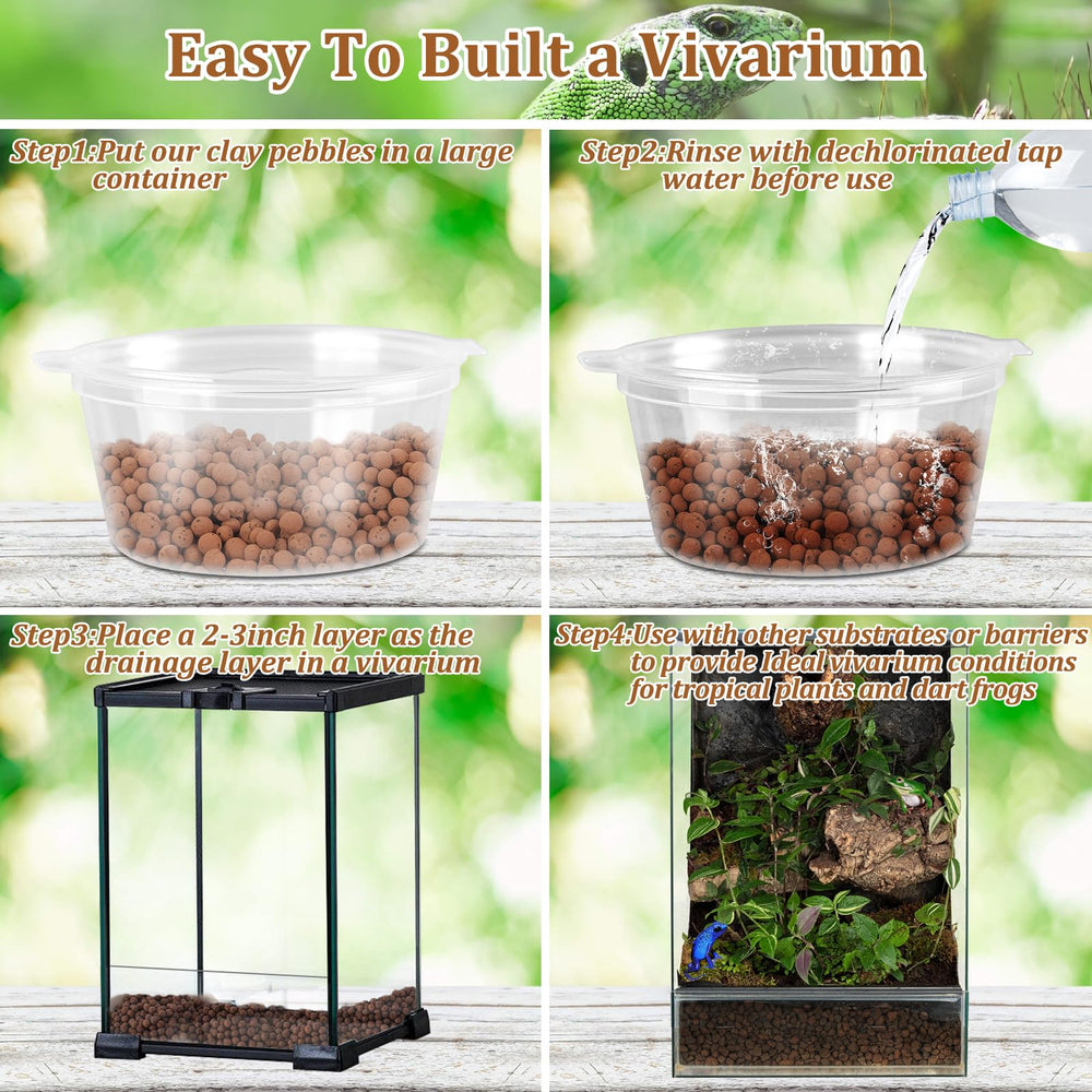 Riare expanded clay balls in use for water filtration in a terrarium scene