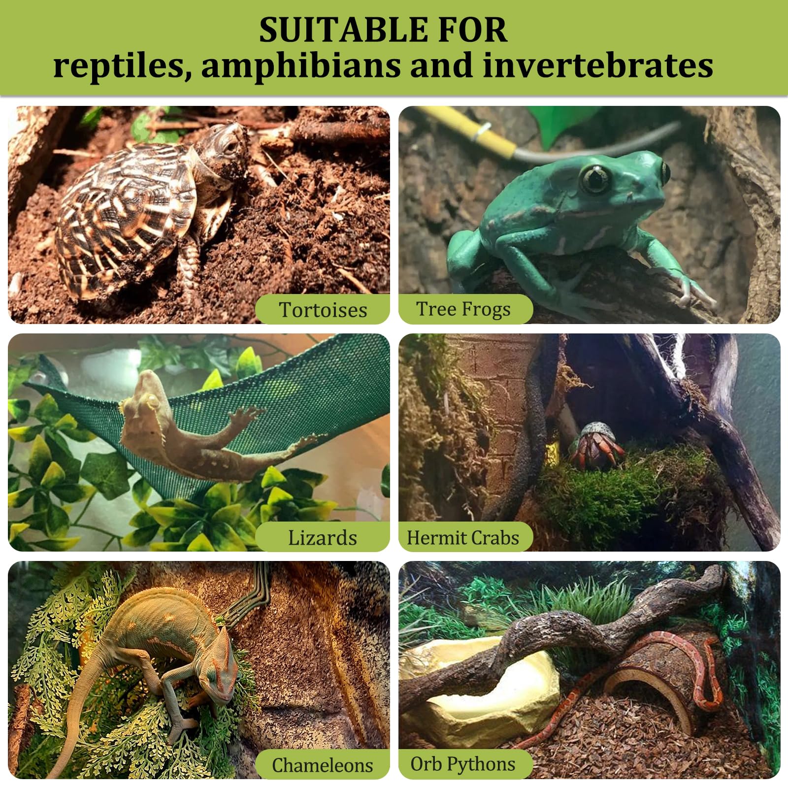 Riare expanded clay for biotope setups, offering lightweight durability for long-term use.