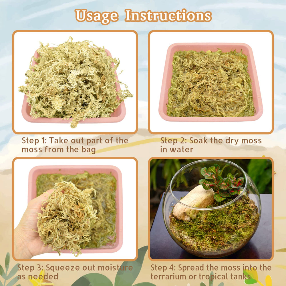 Riare forest floor moss used as long-lasting reptile bedding.
