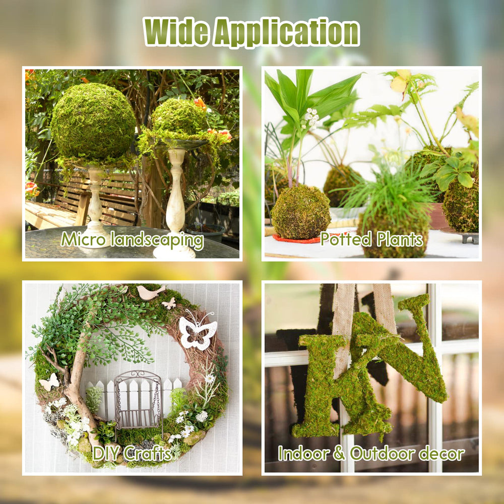 Riare hamster nesting moss invites digging and playful exploration.