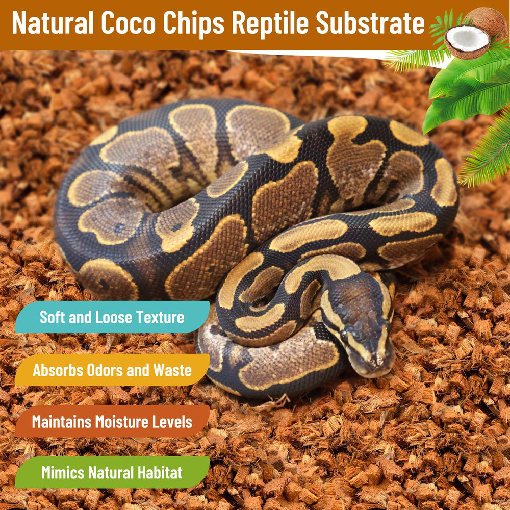Riare humidity-control reptile habitat supports tropical species