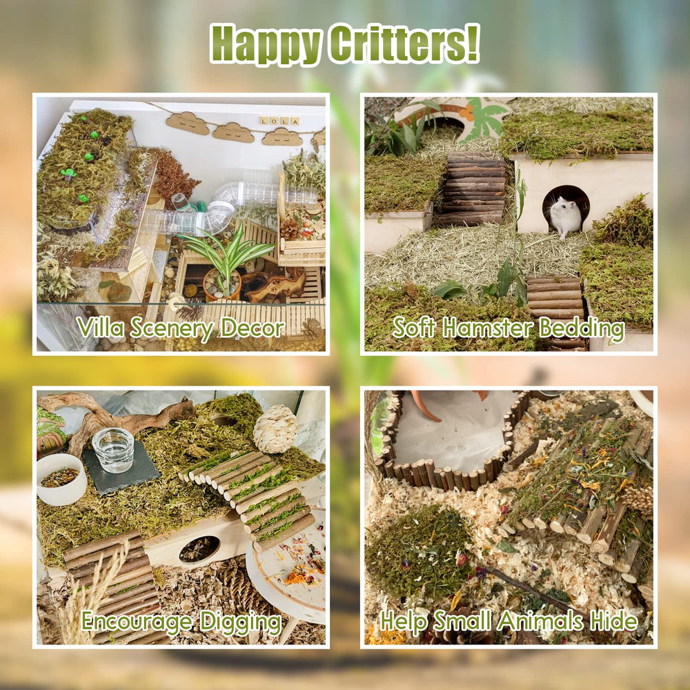 Riare moss bedding suitable for snakes, lizards, geckos with user-friendly moisture control.