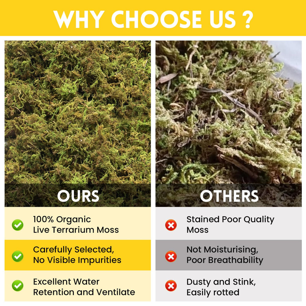 Riare moss substrate supports terrarium species and garden plant nourishment.