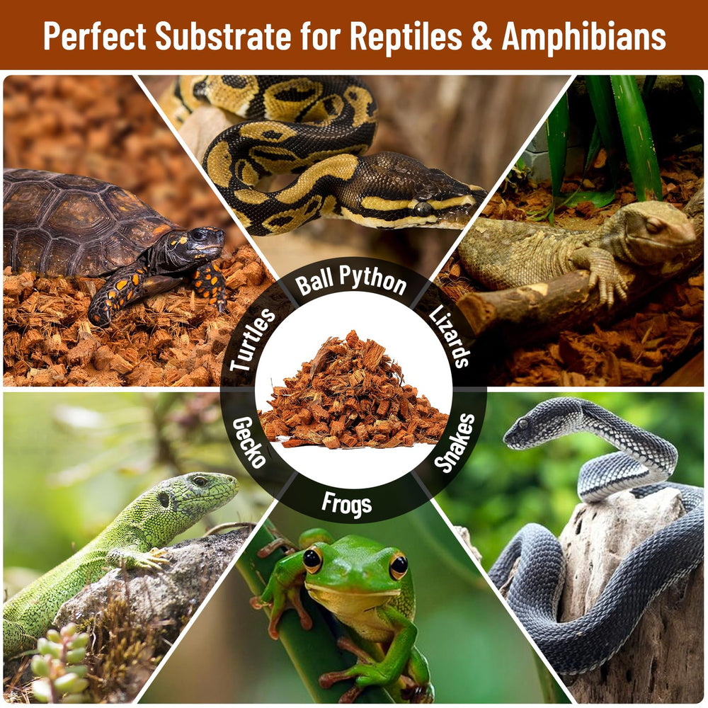 Riare suitable for snakes, tortoises, bearded dragons, lizards, and more.