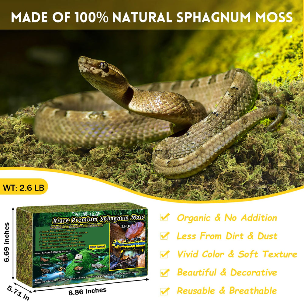 Riare natural green moss close-up shows soft texture ideal for nesting.