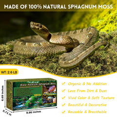 Riare natural green moss close-up shows soft texture ideal for nesting.