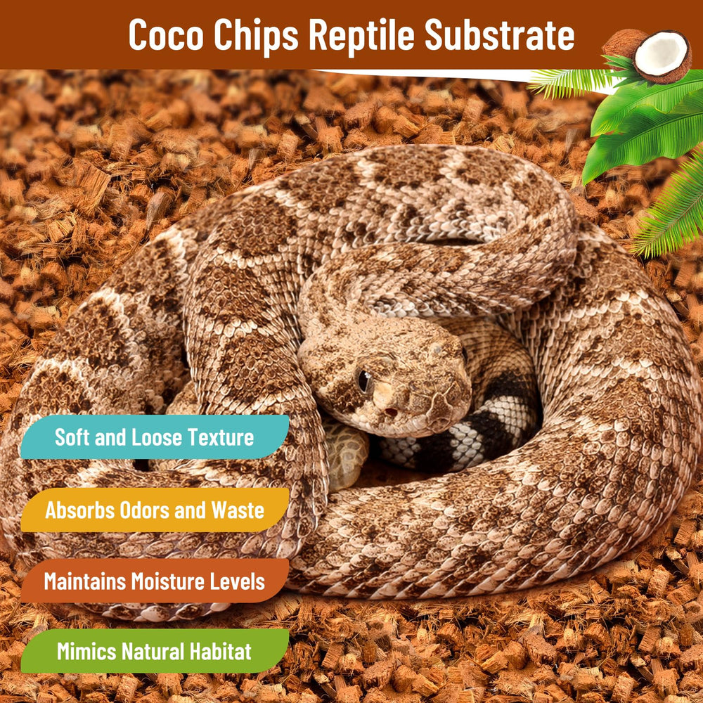 Riare odor-absorbing bedding keeps terrariums clean and fresh.