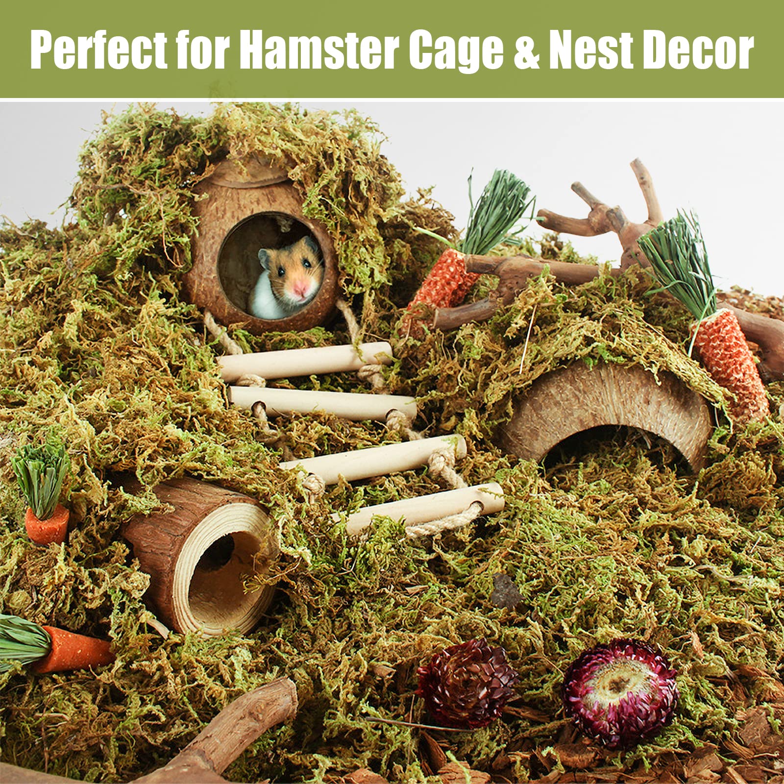 Riare reptile moss terrarium includes pleasant scent and odor absorption benefits.