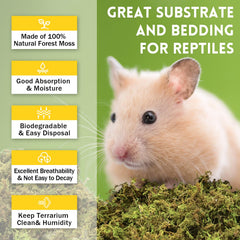 Riare sphagnum moss absorbent bedding maintains humidity for reptiles and amphibians.