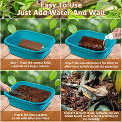 Riare odor-absorbing bedding helps keep terrariums fresher.