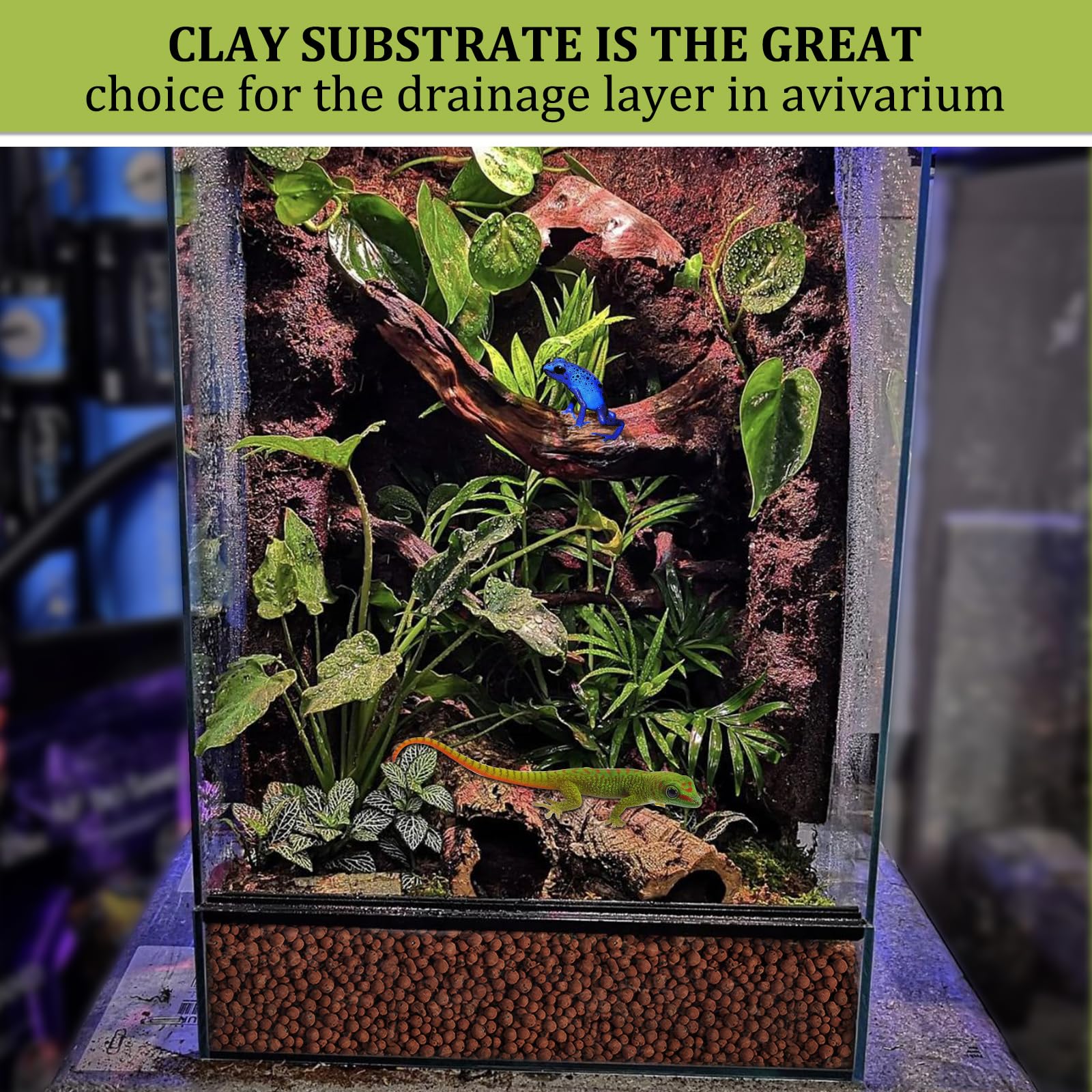 Riare terrarium substrate supports drainage and moisture balance for plants and inhabitants.