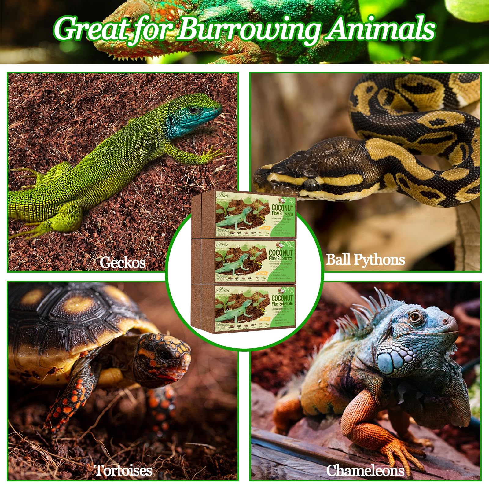 Riare universal substrate for reptiles and more