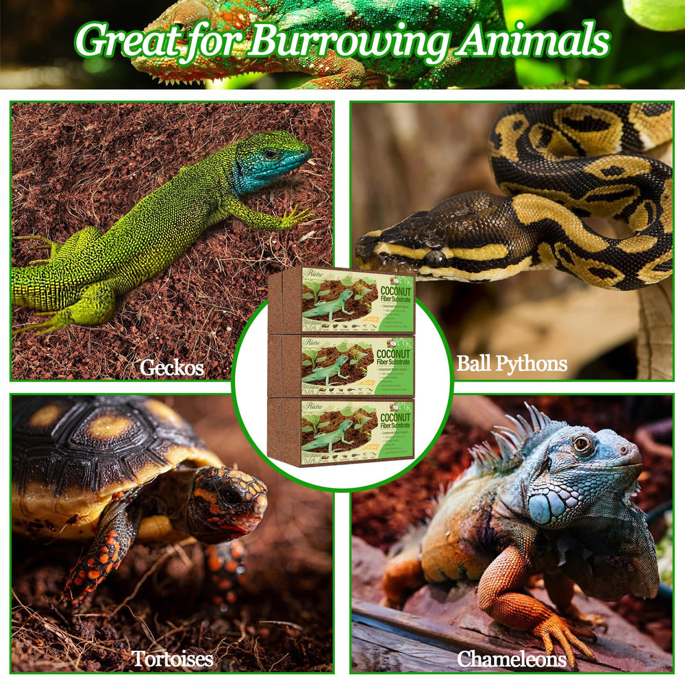 Riare universal substrate for reptiles and more