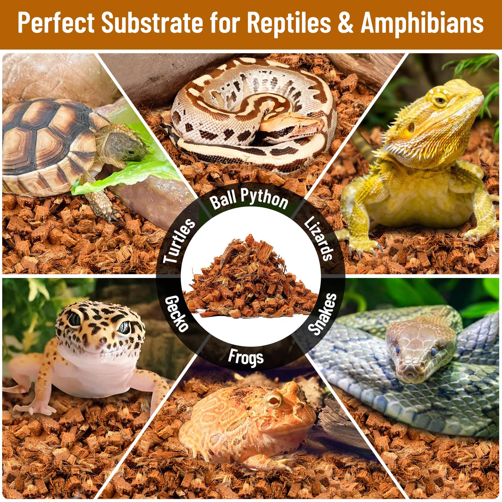 Riare versatile substrate suitable for snakes, tortoises, frogs and lizards