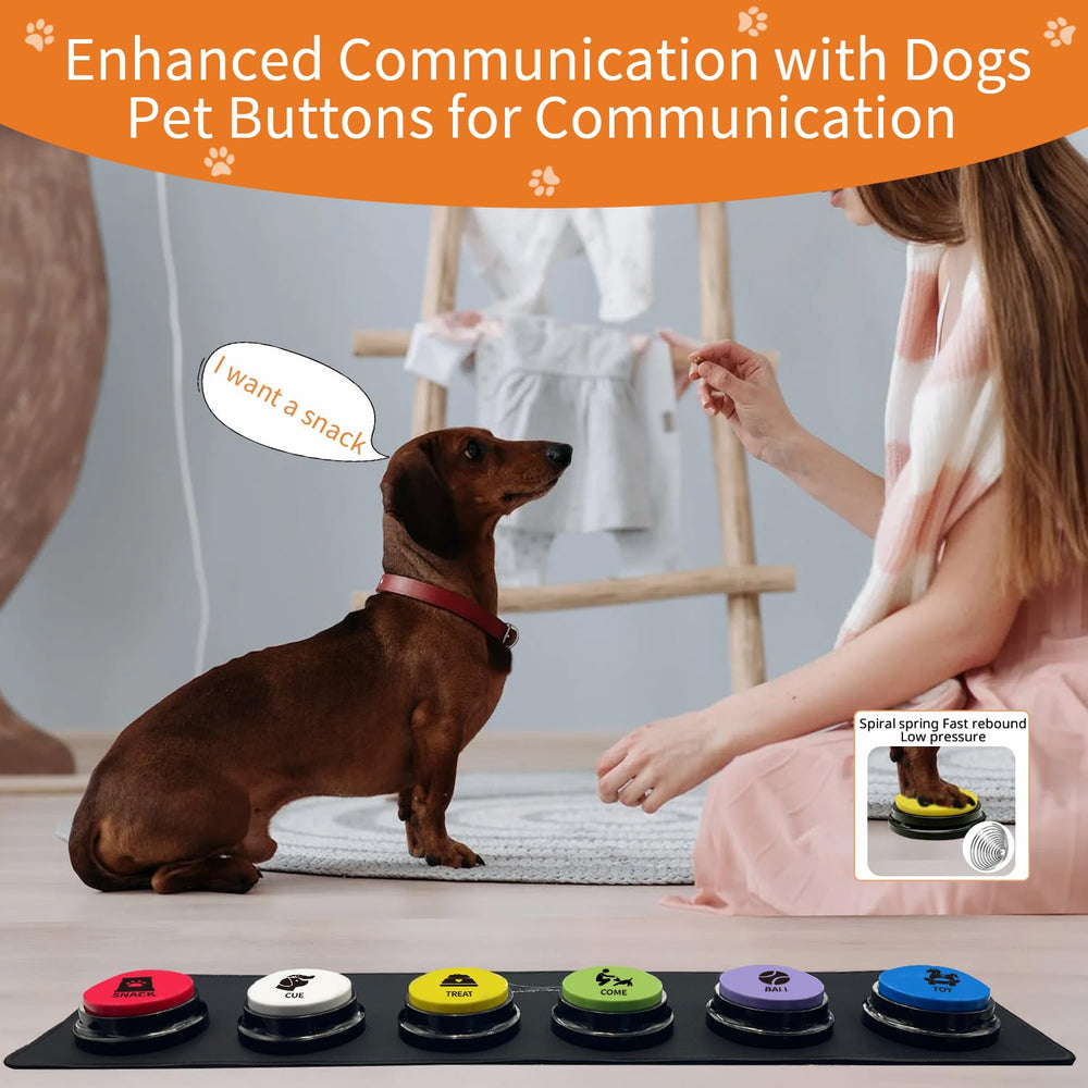 RIBOSY training games for pets and family bonding
