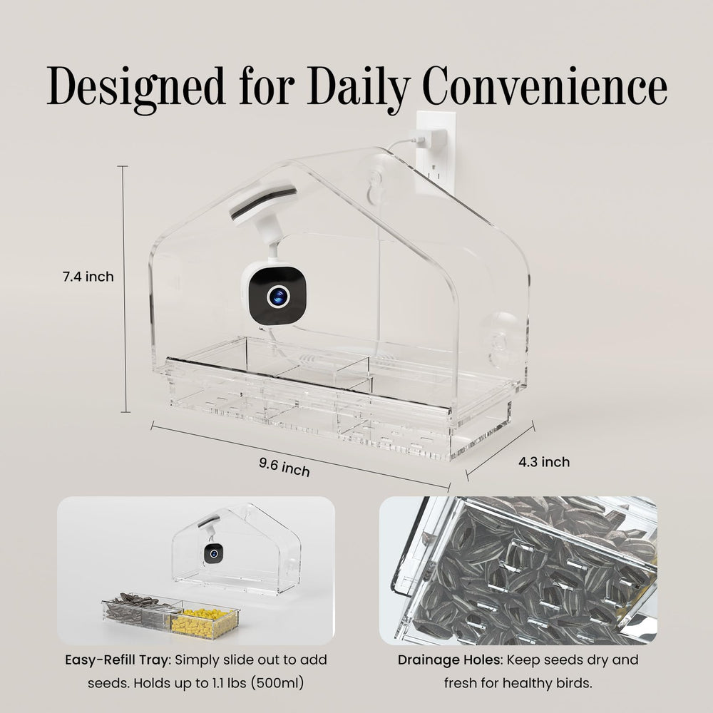 RichBird cat TV compatible setup for safe indoor pet viewing