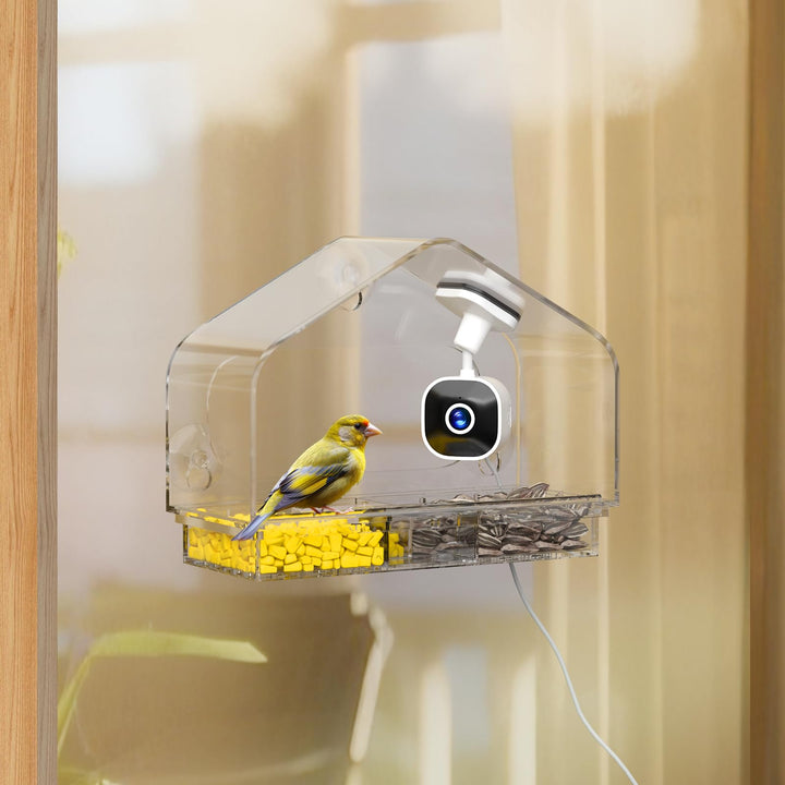 RichBird Smart Window Feeder Camera offers a panoramic 2K view for close-up feather details