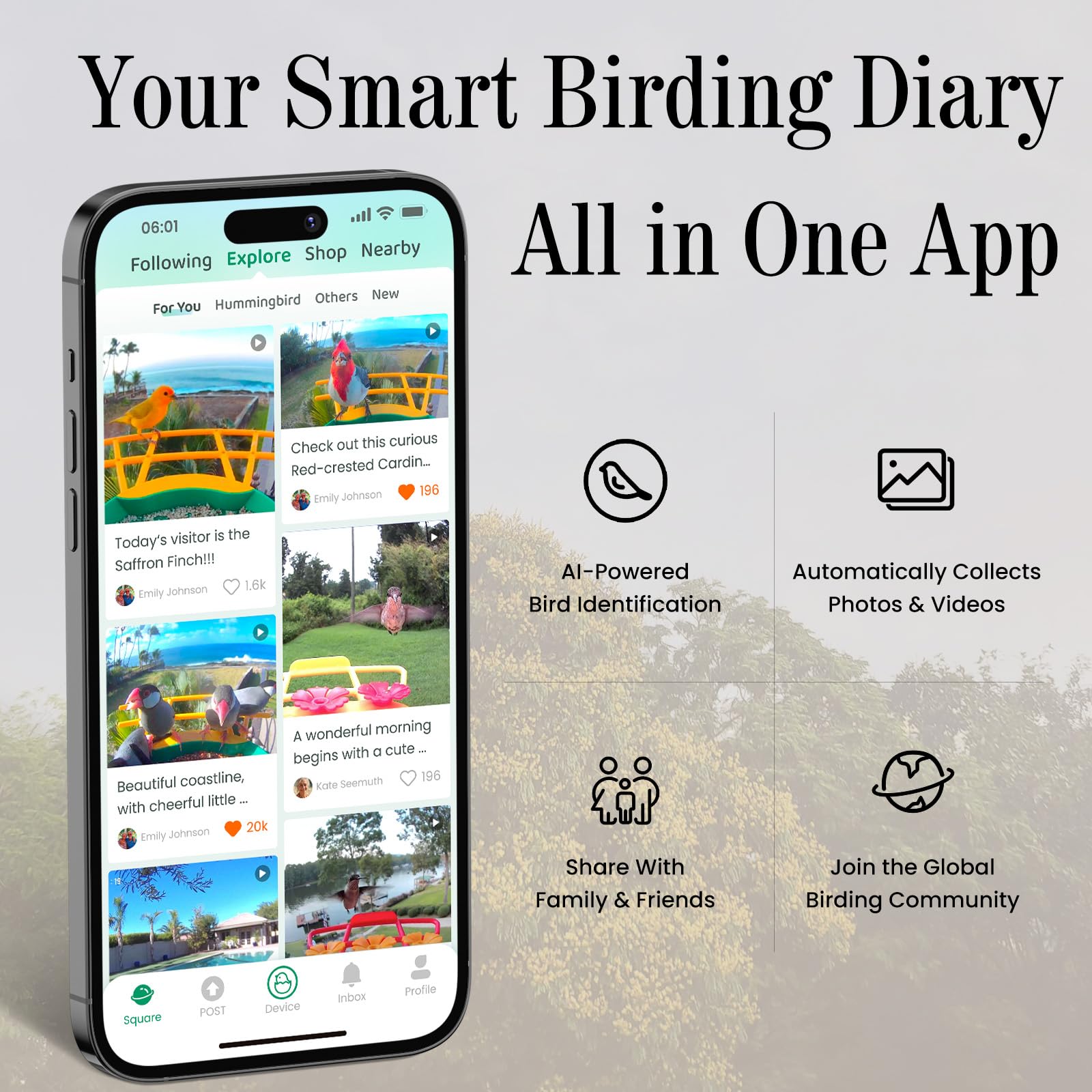 RichBird USB-powered setup enables 24/7 live viewing without battery changes