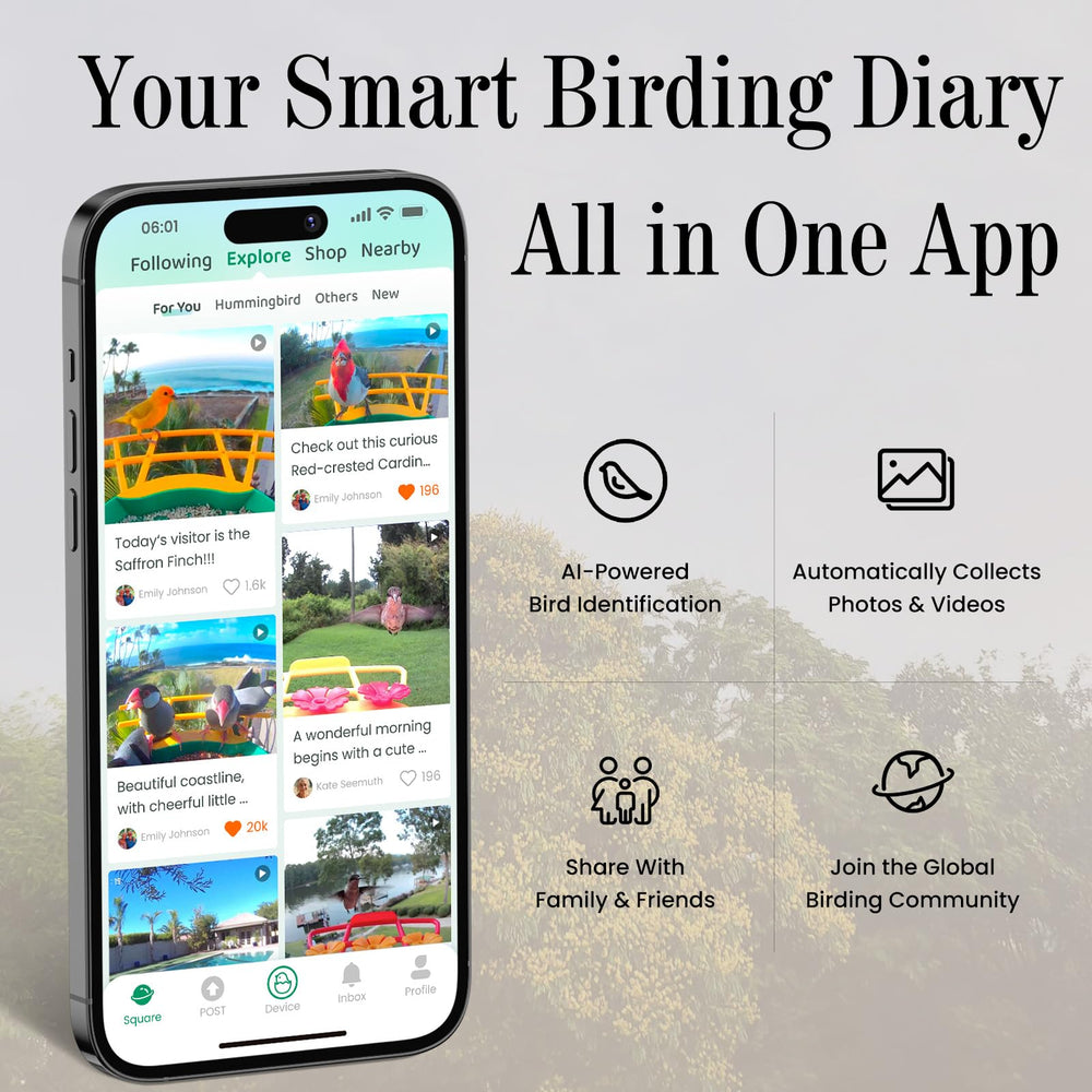 RichBird USB-powered setup enables 24/7 live viewing without battery changes