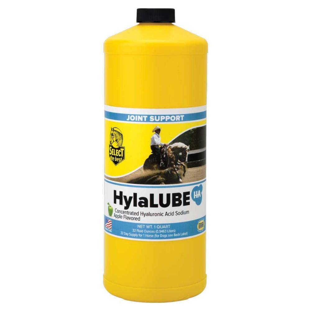 Richdel HylaLube bottle pouring apple-flavored joint support for dogs and horses