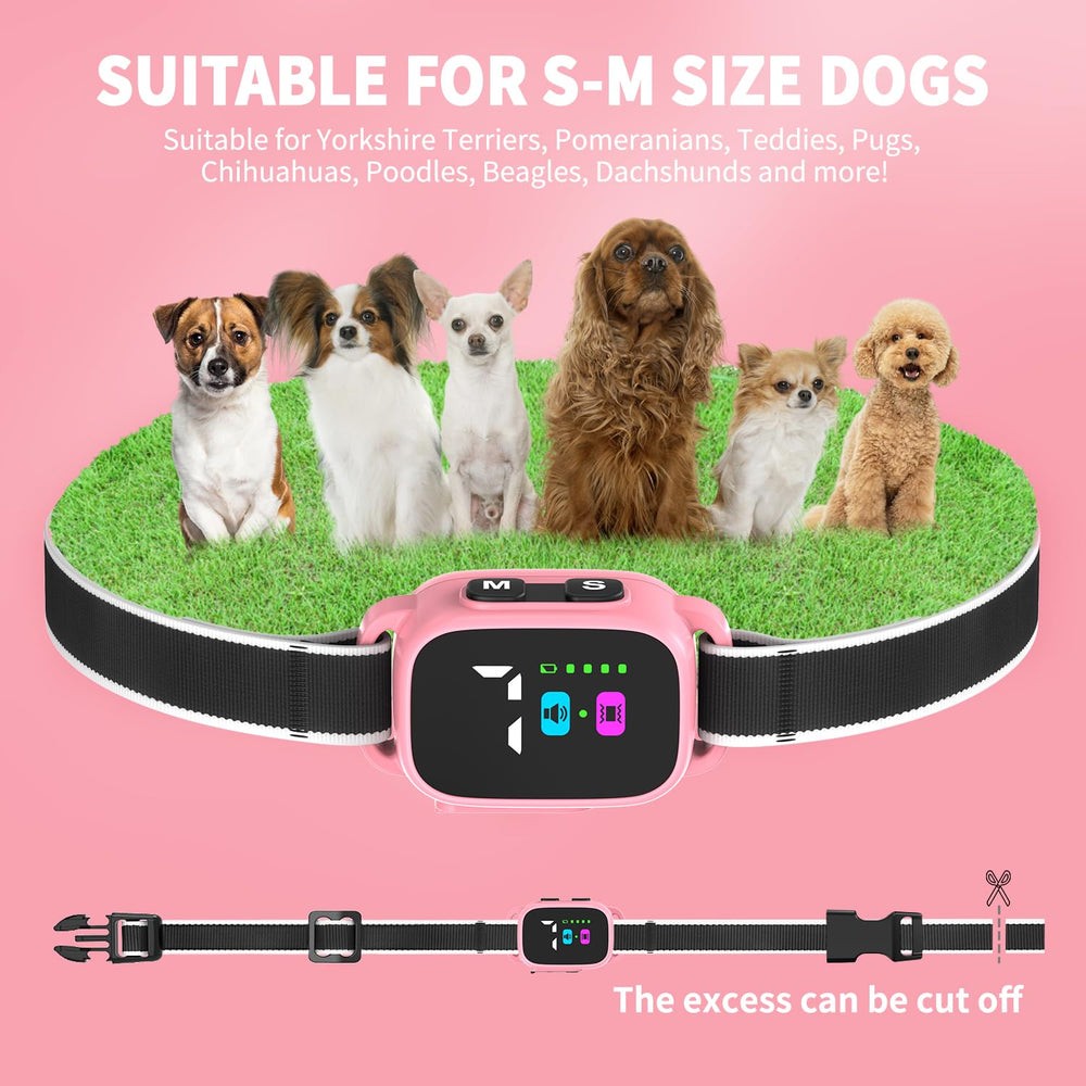 RICIVI pink-design collar adds cute style without compromising safety.